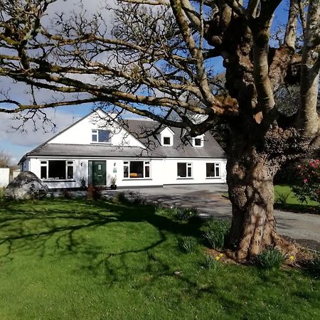 Mountain View Guesthouse Оугтерард Екстериор снимка