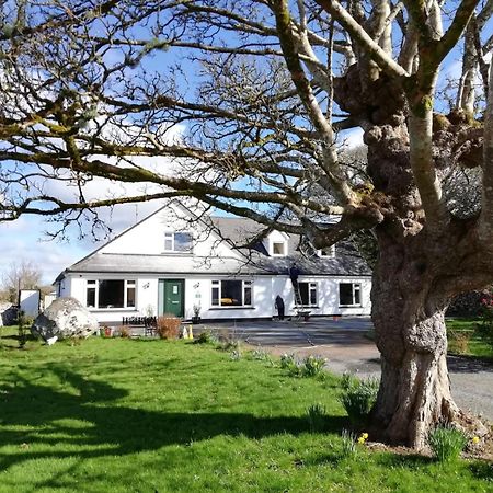 Mountain View Guesthouse Оугтерард Екстериор снимка