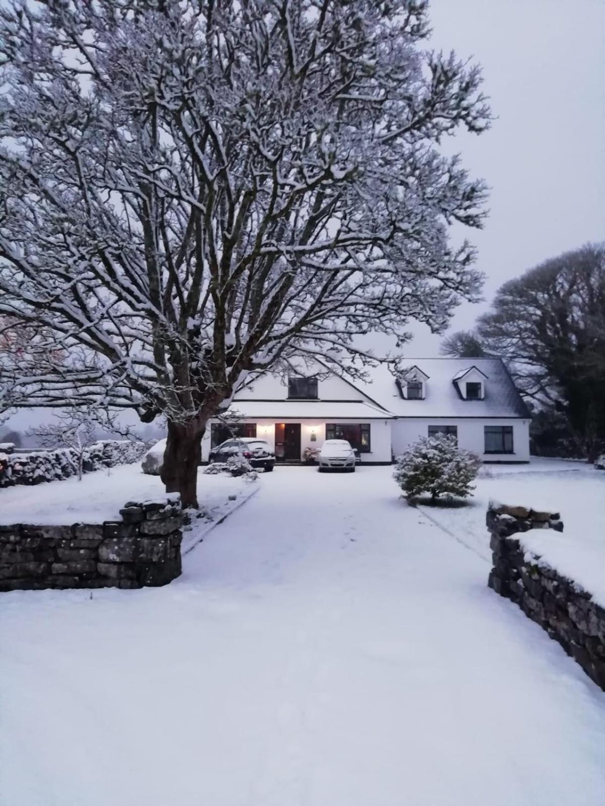Mountain View Guesthouse Оугтерард Екстериор снимка